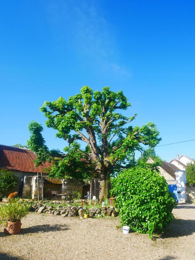 Villa Au Coeur De La Cour Saint-Georges-sur-Cher Esterno foto